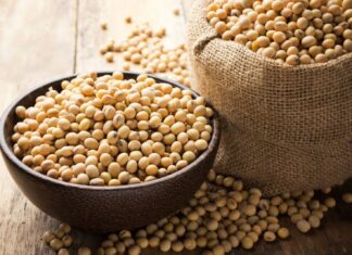 Chất Đạm Trong Đậu Nành