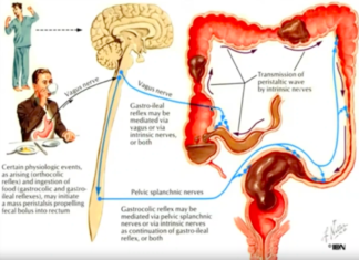 Táo Bón với bác sĩ Trịnh Ngọc Huy